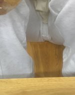 IMG_0693.jpeg