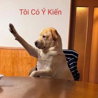Xlevyday