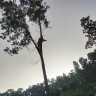 alone90
